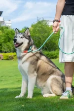 Eames lounge chair - 图片 3